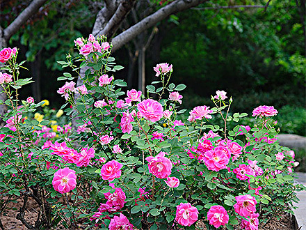 BOB体育APP产品展示五