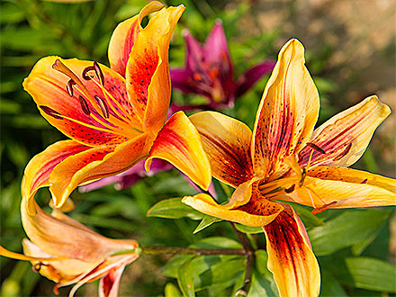 BOB体育APP产品展示八