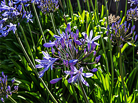 BOB体育APP客户案例一