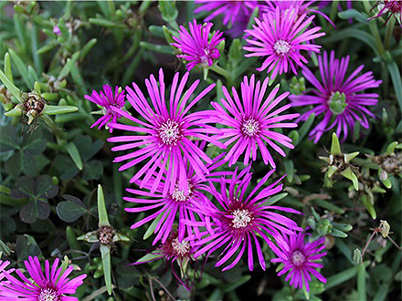 BOB体育APP产品展示六